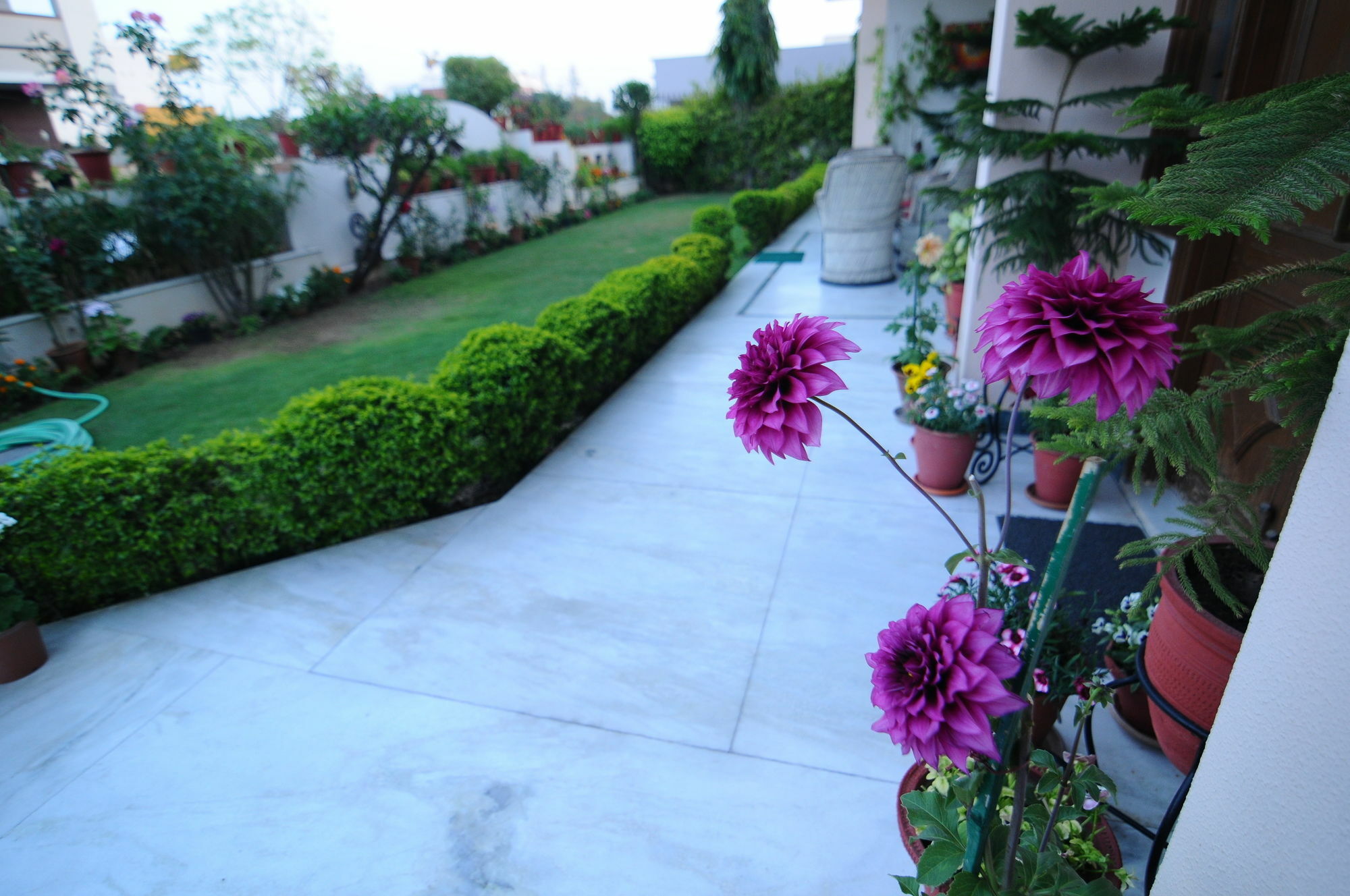 Jaipur Friendly Villa Kültér fotó